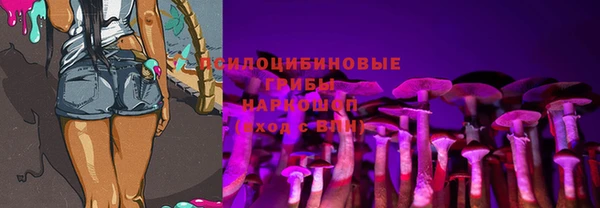 герыч Абаза
