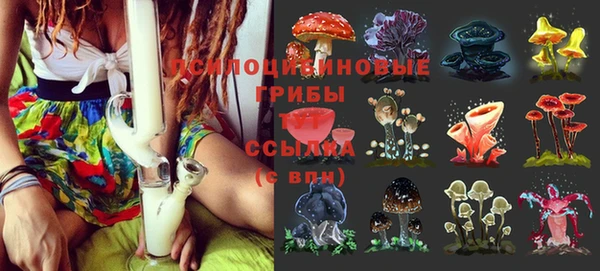 2c-b Нягань