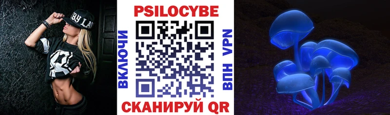Галлюциногенные грибы Psilocybe Дербент